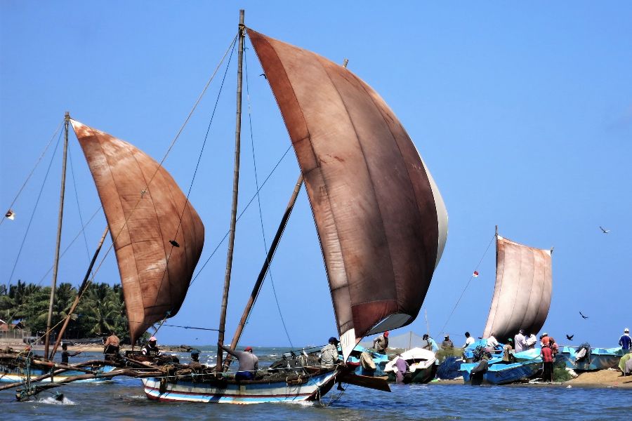 15. Catamaran sailing tour.JPG